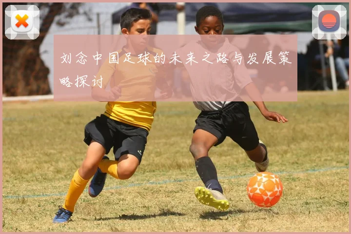 刘念中国足球的未来之路与发展策略探讨