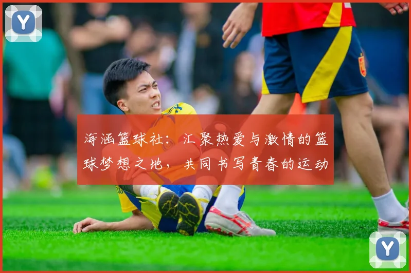 海涵篮球社：汇聚热爱与激情的篮球梦想之地，共同书写青春的运动篇章