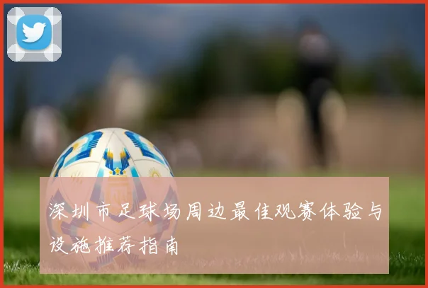深圳市足球场周边最佳观赛体验与设施推荐指南