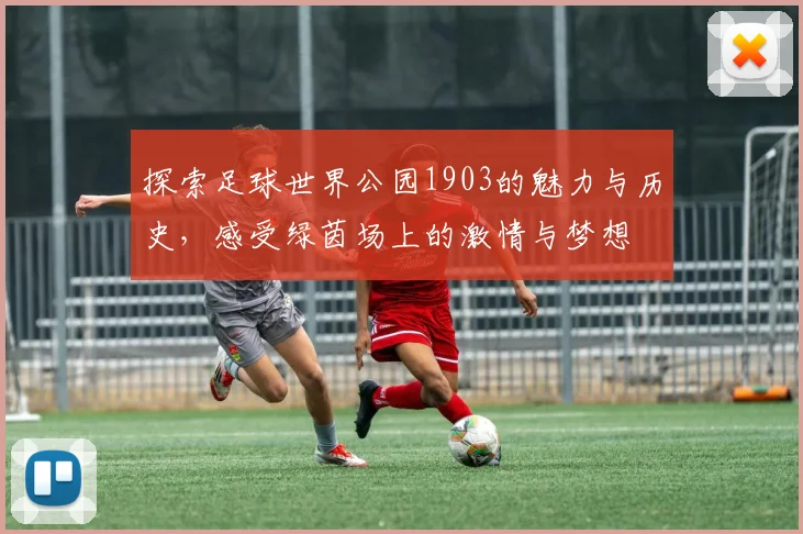 探索足球世界公园1903的魅力与历史，感受绿茵场上的激情与梦想
