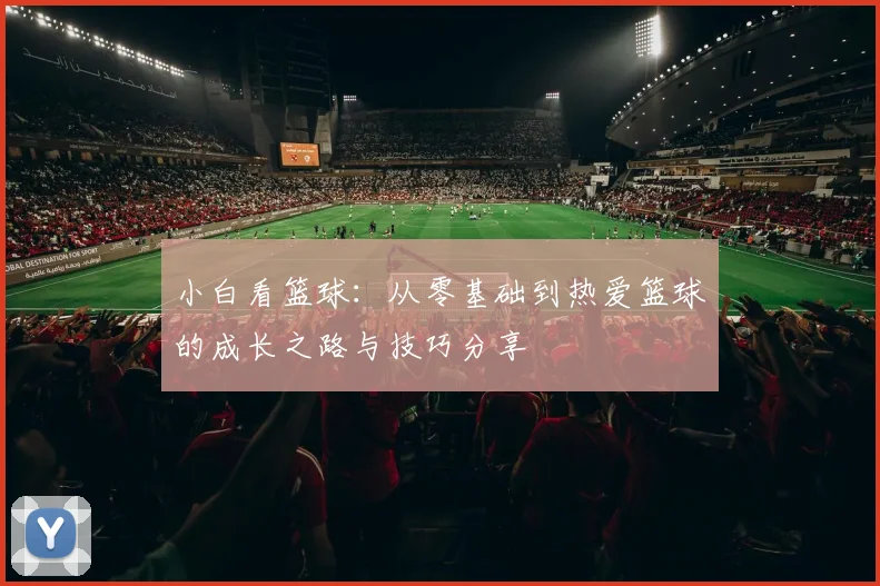 小白看篮球：从零基础到热爱篮球的成长之路与技巧分享