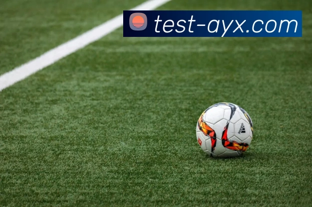 刘念中国足球的未来之路与发展策略探讨